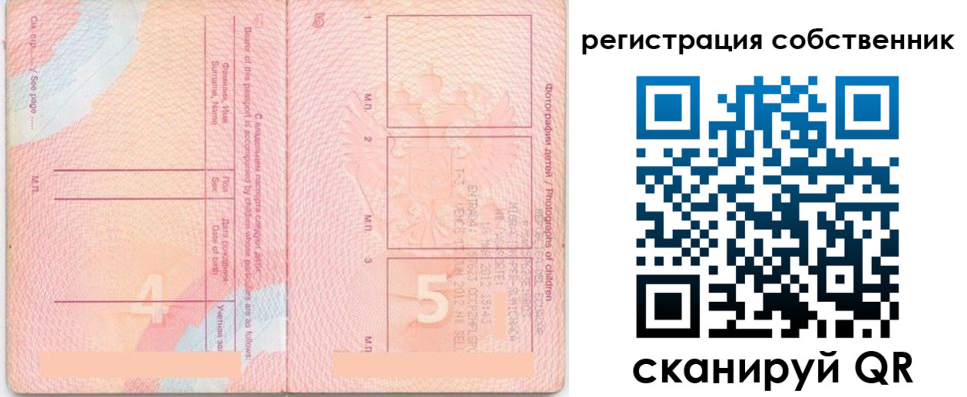 прописка ребенка в Приозерске